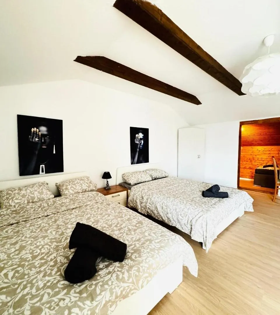 Apartment Cozy Rooms In A Villa For Groups, 16-Mins To Blumengaerten Vienna