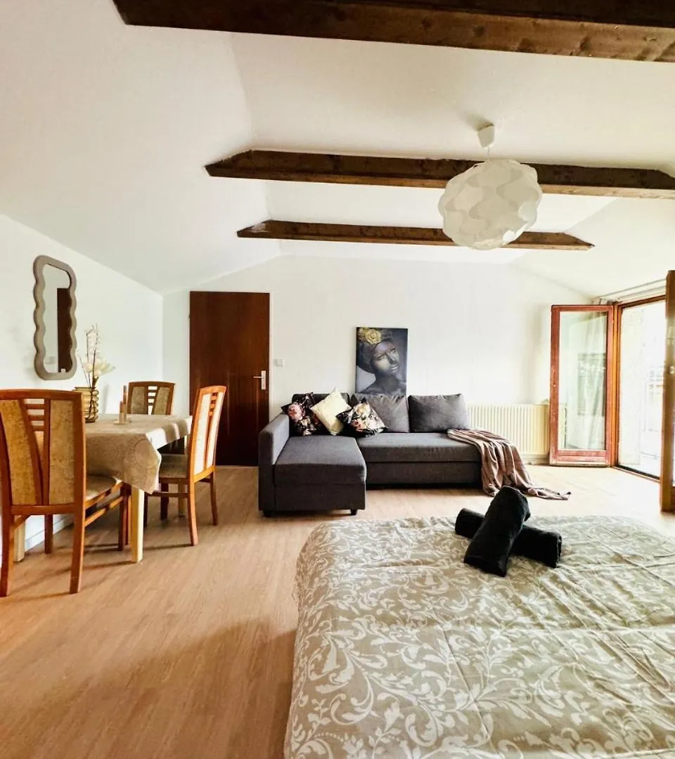 Cozy Rooms In A Villa For Groups, 16-Mins To Blumengaerten Vienna