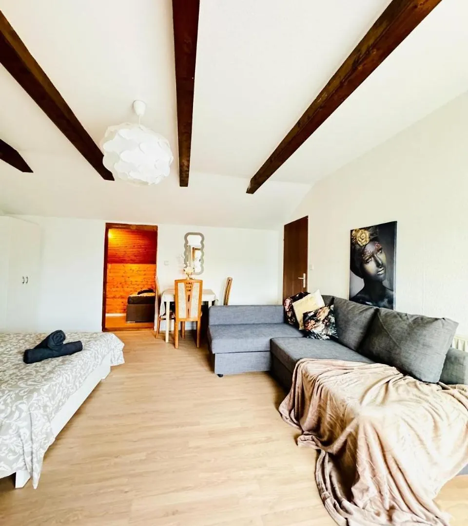 Cozy Rooms In A Villa For Groups, 16-Mins To Blumengaerten Vienna