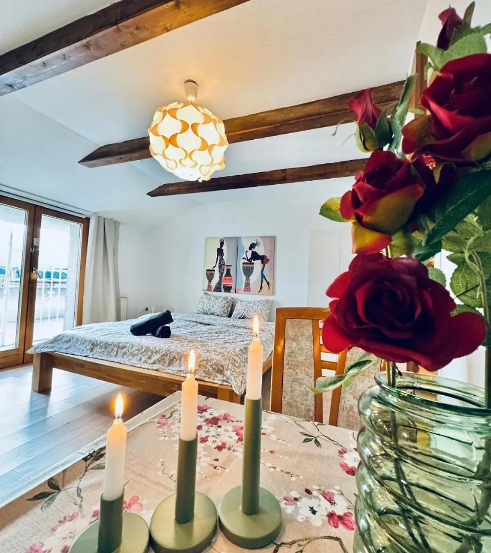 Cozy Rooms In A Villa For Groups, 16-Mins To Blumengaerten Vienna Apartment