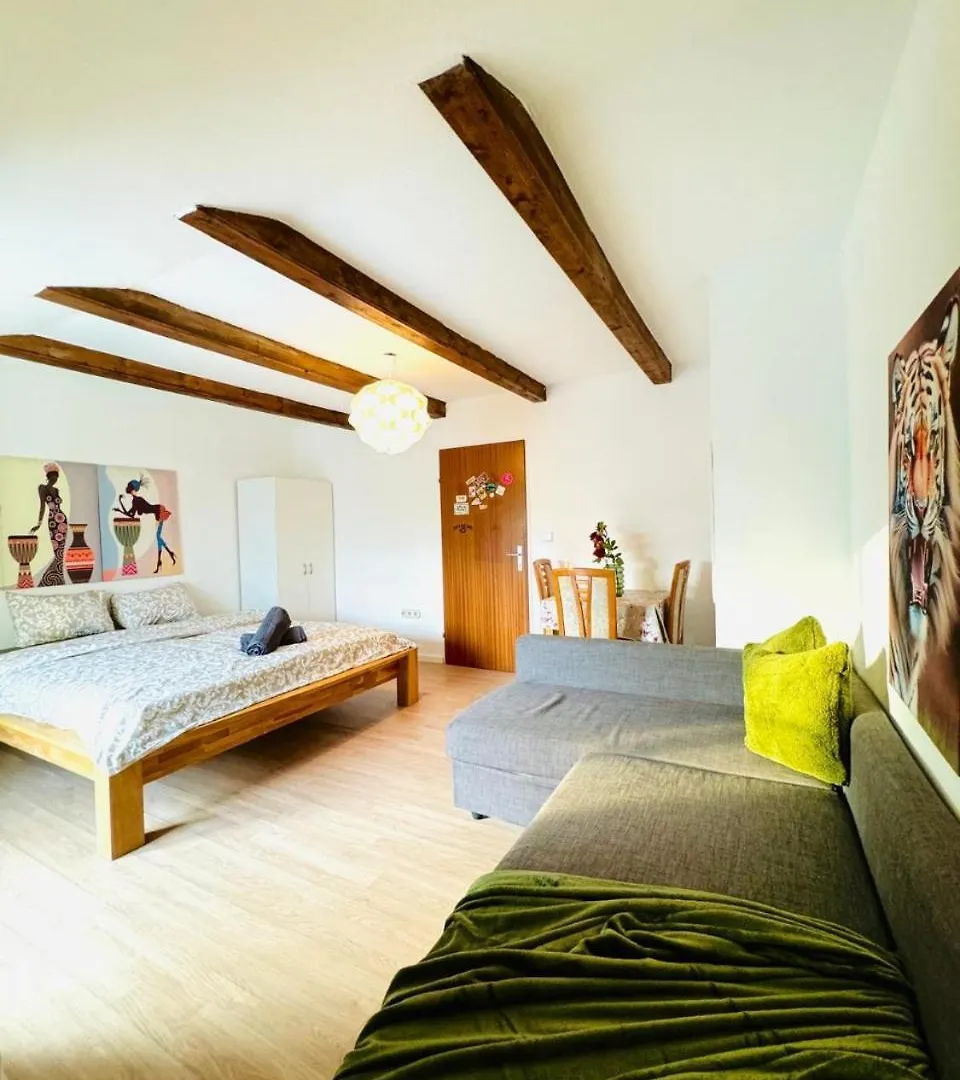 Cozy Rooms In A Villa For Groups, 16-Mins To Blumengaerten Vienna